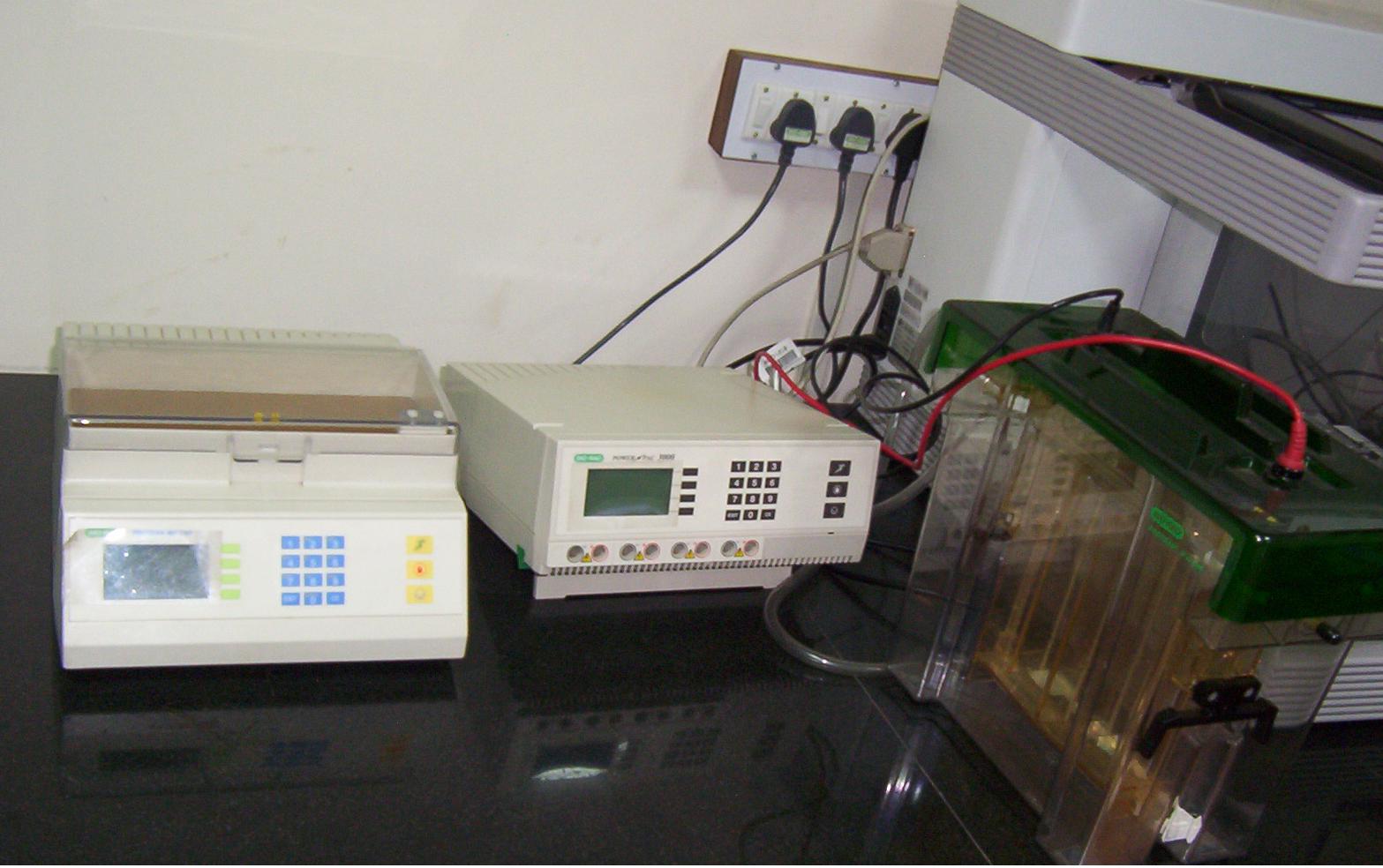 2D - GEL Electrophoresis Laboratory